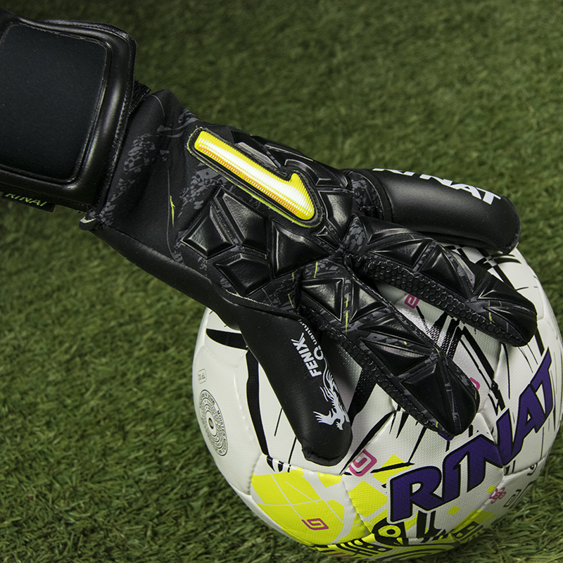FENIX Quantum PRO