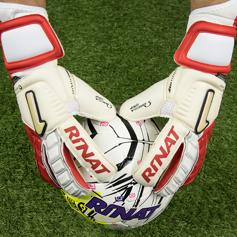 Egotiko Quantum PRO
